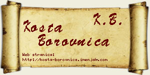 Kosta Borovnica vizit kartica